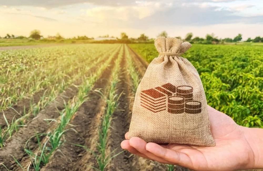 Crédito rural perde força e acende alerta no campo com alta da inadimplência