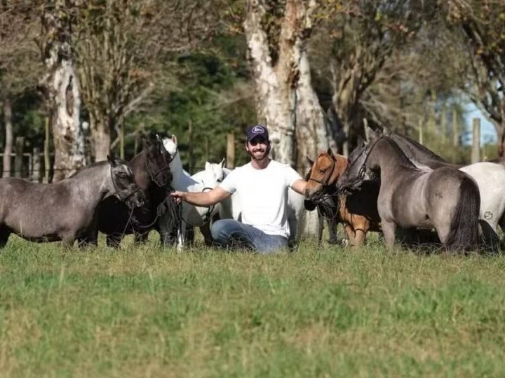 Criação de pôneis cresce no Brasil e vira nova aposta de negócios no campo