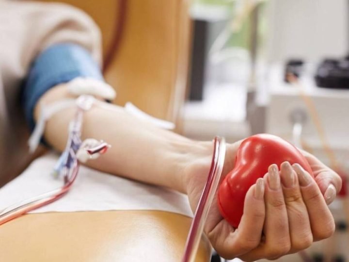 Doação de sangue terá novas regras no Brasil a partir de setembro; Veja o que muda
