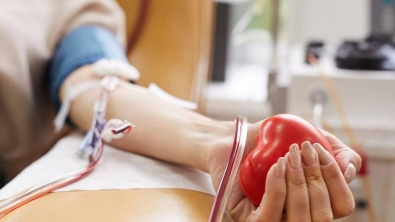 Doação de sangue terá novas regras no Brasil a partir de setembro; Veja o que muda