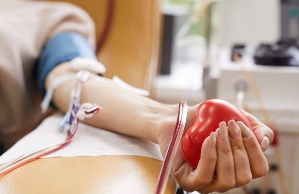 Doação de sangue terá novas regras no Brasil a partir de setembro; Veja o que muda