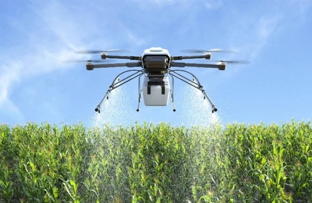 Drones e IA conseguem antecipar rendimento do milho com mais de 92% de precisão