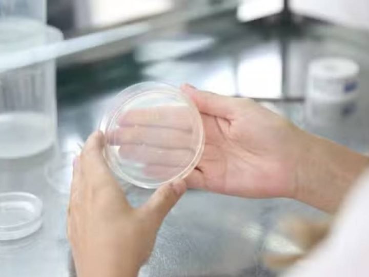 Edição genética muda o futuro dos alimentos e do agro
