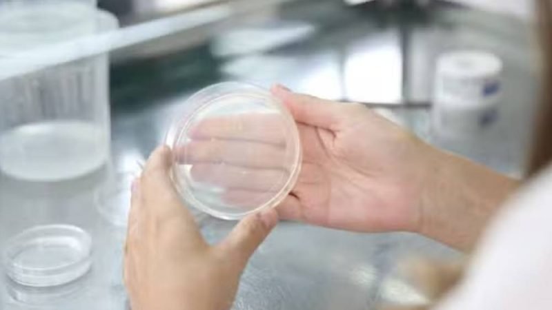 Edição genética muda o futuro dos alimentos e do agro