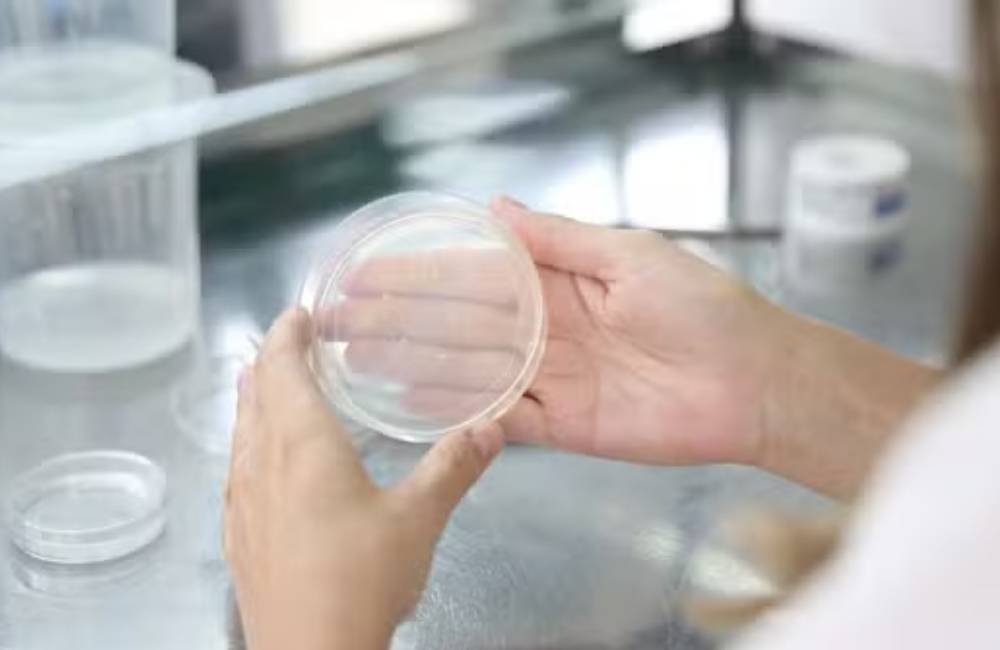 Edição genética muda o futuro dos alimentos e do agro