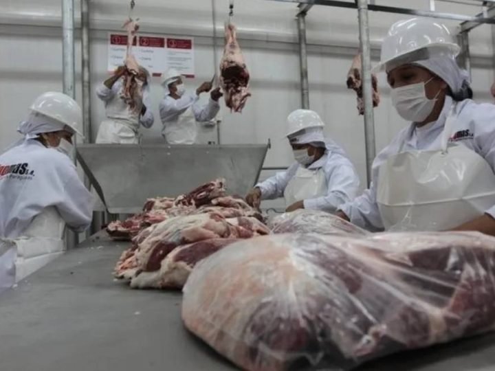 Setor de carnes reforça defesa do uso responsável de antimicrobianos