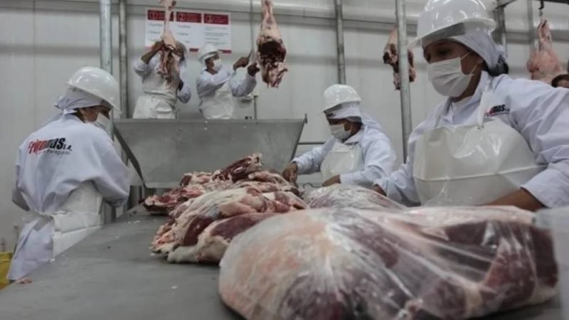 Setor de carnes reforça defesa do uso responsável de antimicrobianos