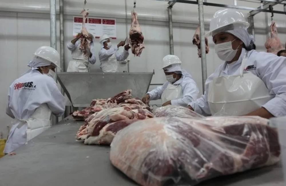 Setor de carnes reforça defesa do uso responsável de antimicrobianos