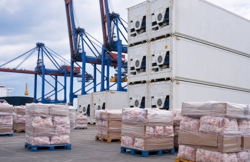 Exportação de carne suína de Goiás cresce 15,3% no primeiro semestre