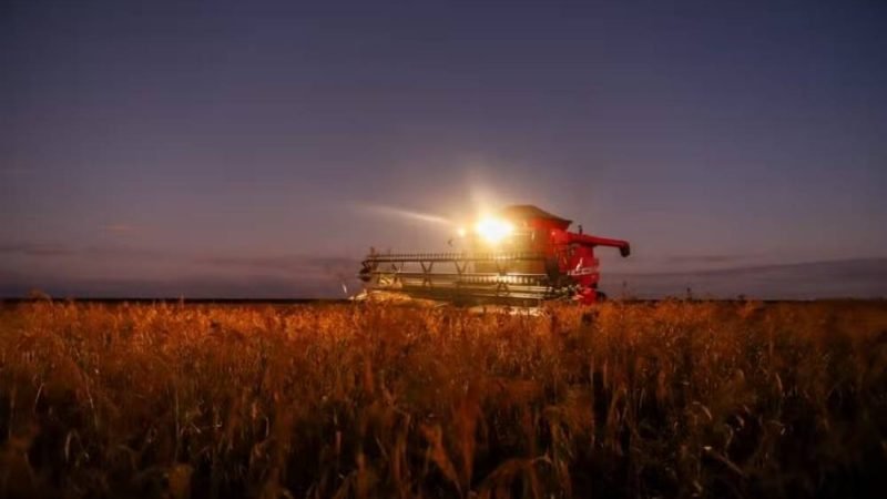 Falta de mão de obra vira maior desafio do agro