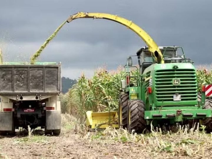 Governo anuncia bilhões para fortalecer indústria de fertilizantes