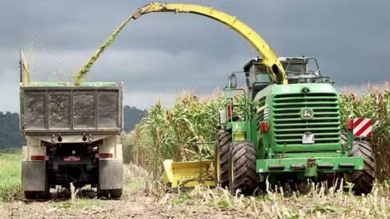 Governo anuncia bilhões para fortalecer indústria de fertilizantes