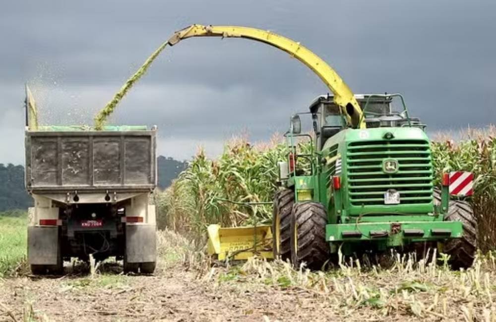 Governo anuncia bilhões para fortalecer indústria de fertilizantes