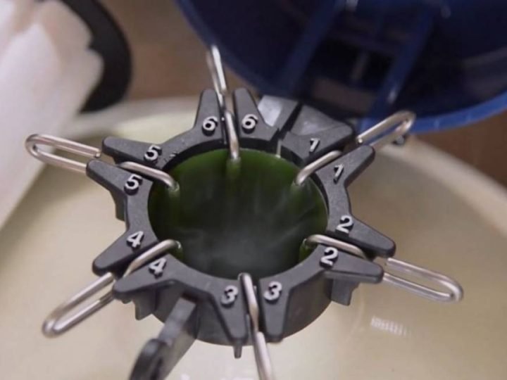 Inseminação em tempo fixo ultrapassa 250 milhões de protocolos e revoluciona a pecuária brasileira