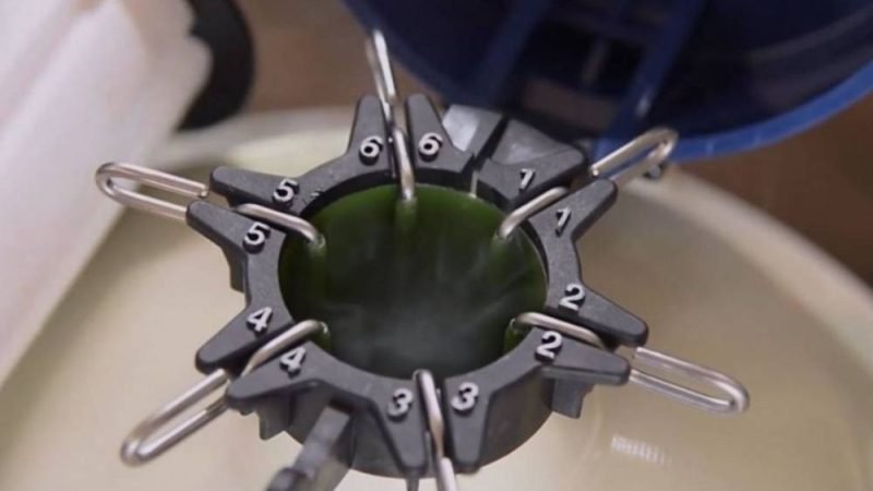 Inseminação em tempo fixo ultrapassa 250 milhões de protocolos e revoluciona a pecuária brasileira