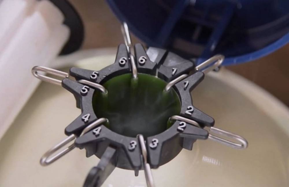 Inseminação em tempo fixo ultrapassa 250 milhões de protocolos e revoluciona a pecuária brasileira