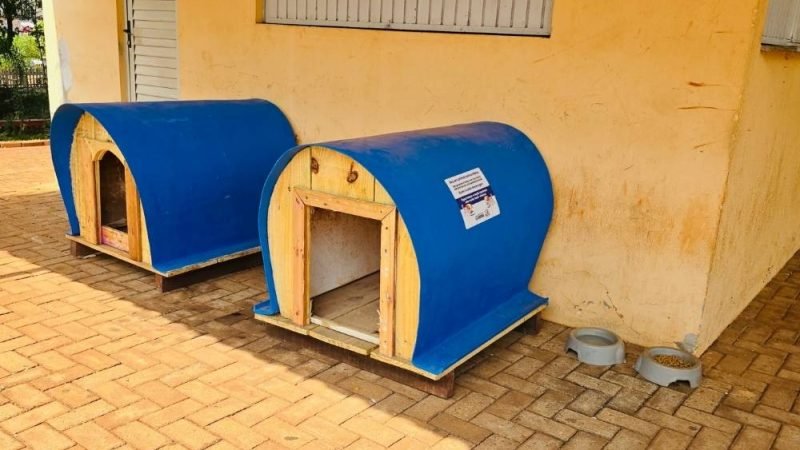 Jataí instala casinhas para animais comunitários