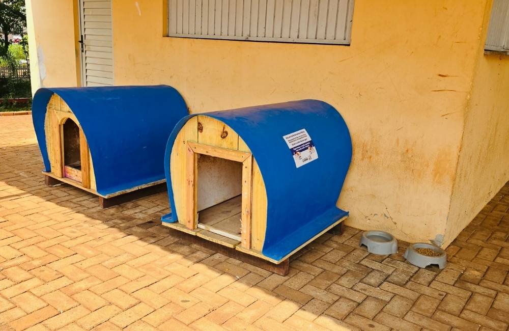 Jataí instala casinhas para animais comunitários