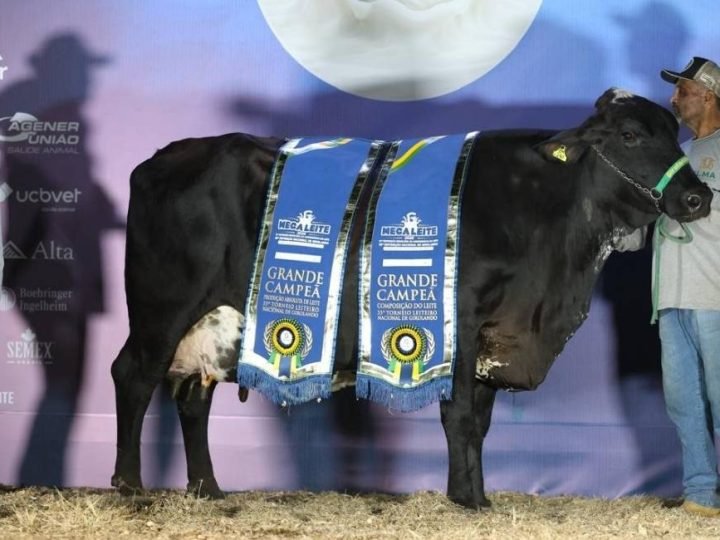Menos vacas, mais leite: Genética transforma a produção no Brasil