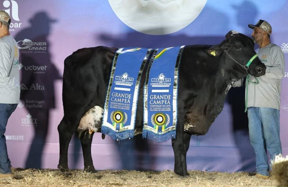 Menos vacas, mais leite: Genética transforma a produção no Brasil
