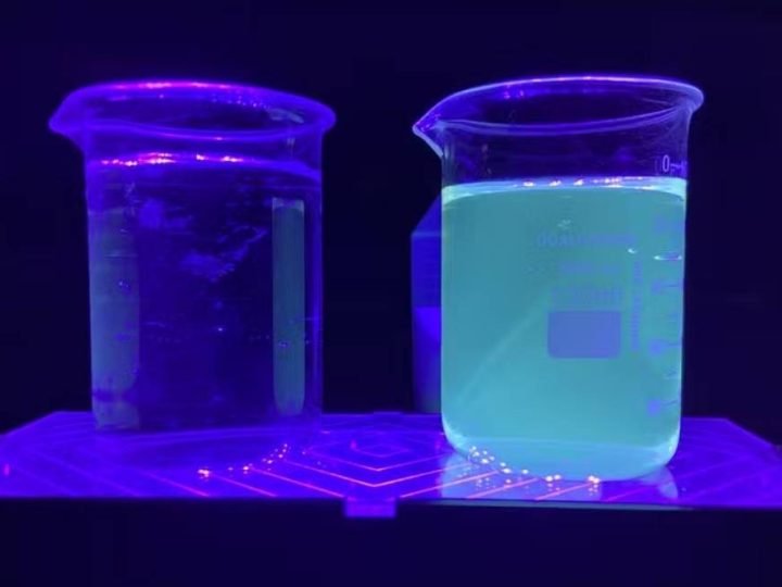 Nanofertilizante feito com caroço de açaí mostra potencial para aumentar eficiência no milho e sorgo