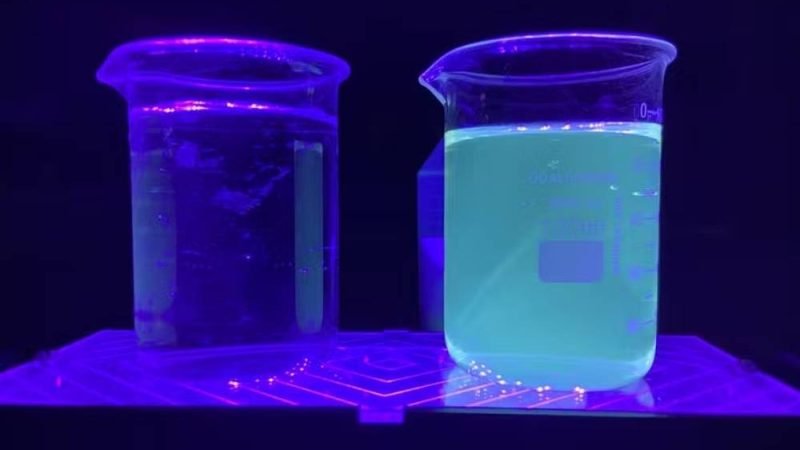 Nanofertilizante feito com caroço de açaí mostra potencial para aumentar eficiência no milho e sorgo