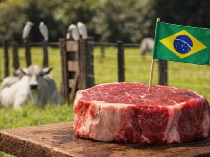Noruega também pode barrar carnes brasileiras em setembro