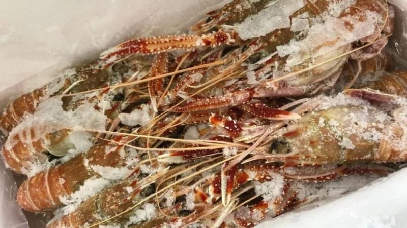 Nova regra reforça cuidados com pescado em embarcações
