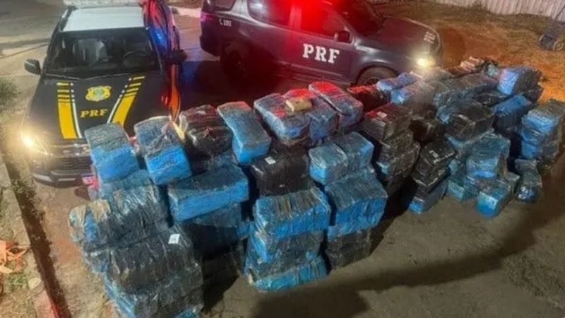VÍDEO | PRF apreende 3,7 toneladas de skunk em Goiás
