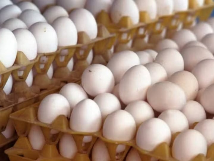 Preço dos ovos recua em agosto, mas média ainda supera julho
