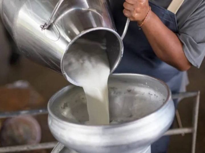Programa da Embrapa transforma pequenas propriedades e aumenta a produção de leite no Brasil