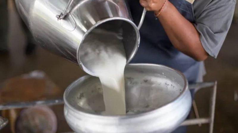 Programa da Embrapa transforma pequenas propriedades e aumenta a produção de leite no Brasil