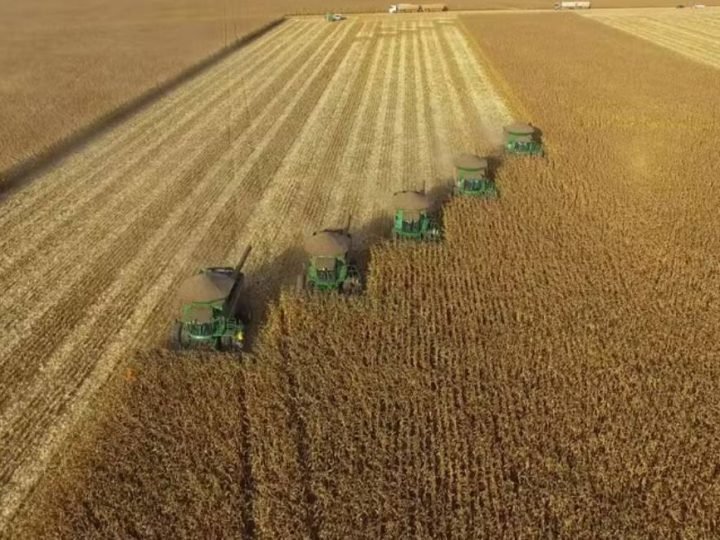 Recuperação judicial no agro cresce e revela pressão financeira no campo