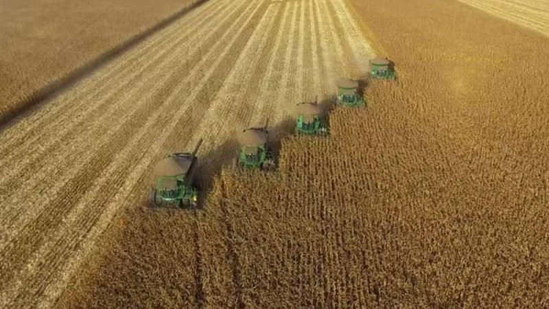 Recuperação judicial no agro cresce e revela pressão financeira no campo
