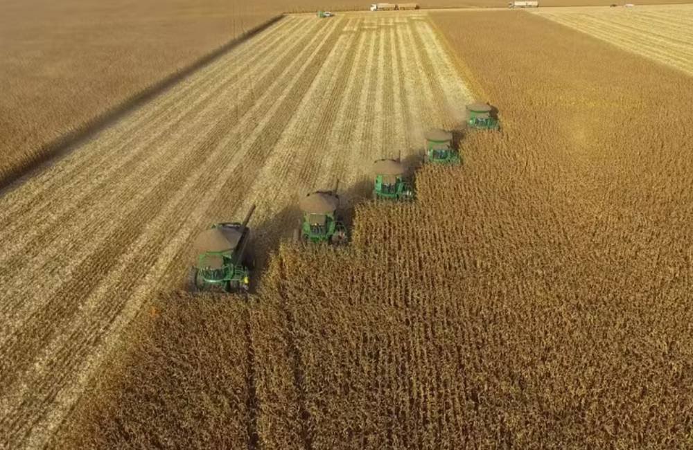 Recuperação judicial no agro cresce e revela pressão financeira no campo