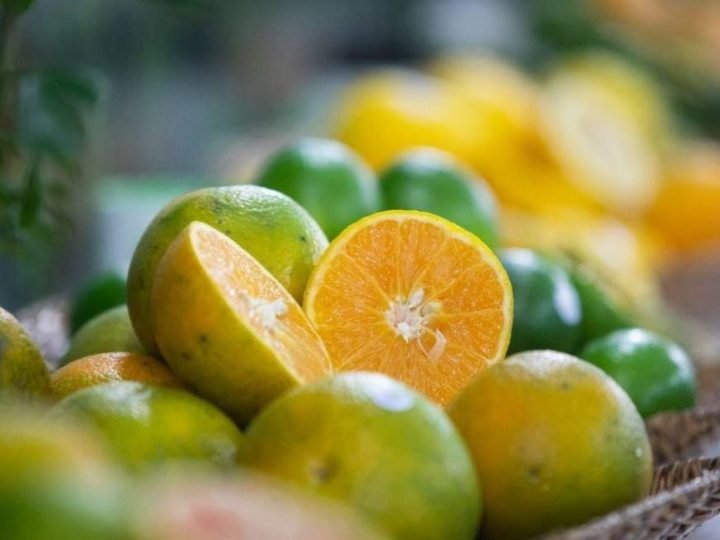 Resíduo da laranja pode ganhar valor e virar matéria-prima