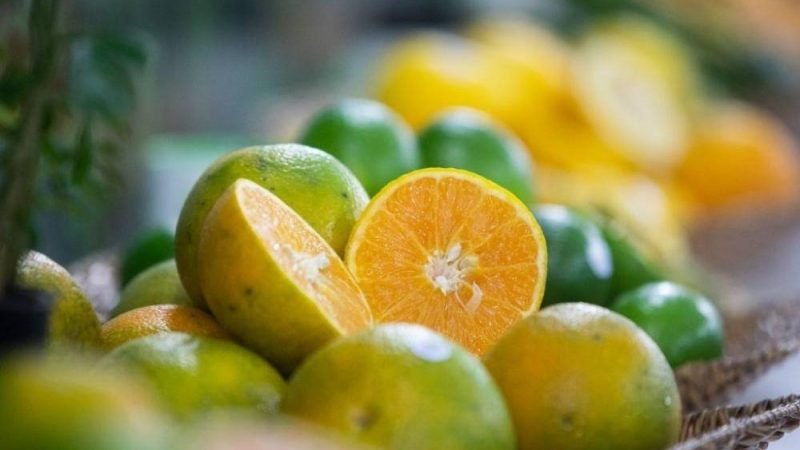 Resíduo da laranja pode ganhar valor e virar matéria-prima