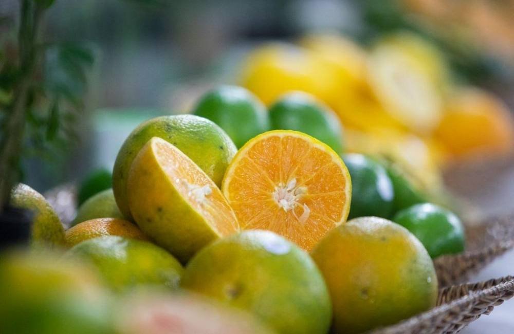 Resíduo da laranja pode ganhar valor e virar matéria-prima