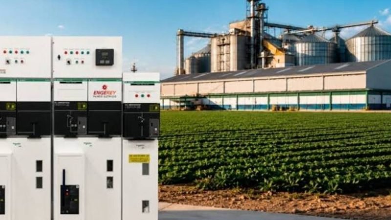 Safra recorde coloca energia inteligente no centro do agro brasileiro