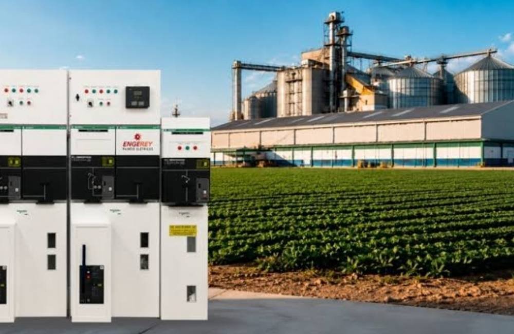 Safra recorde coloca energia inteligente no centro do agro brasileiro