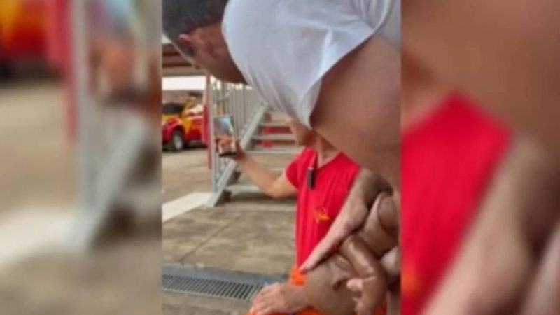 VÍDEO| Bombeiro orienta mãe por videochamada e ajuda a salvar criança engasgada em Goiás