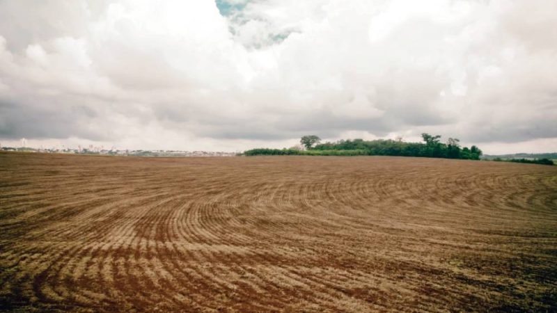 Vazio sanitário da soja exige atenção dos produtores em Goiás