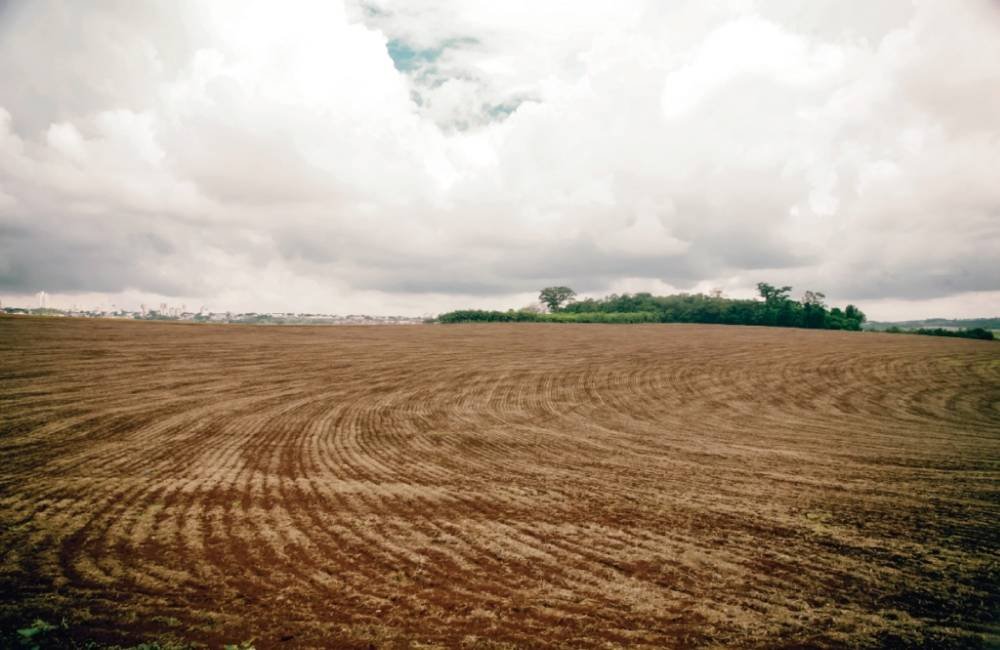 Vazio sanitário da soja exige atenção dos produtores em Goiás