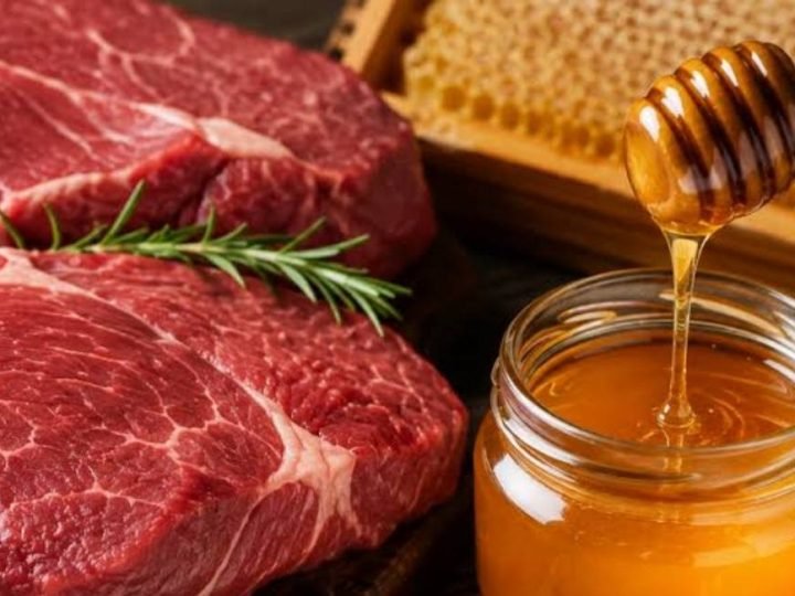 Veto europeu ameaça exportações de carne e mel brasileiros após avanço no mercado internacional