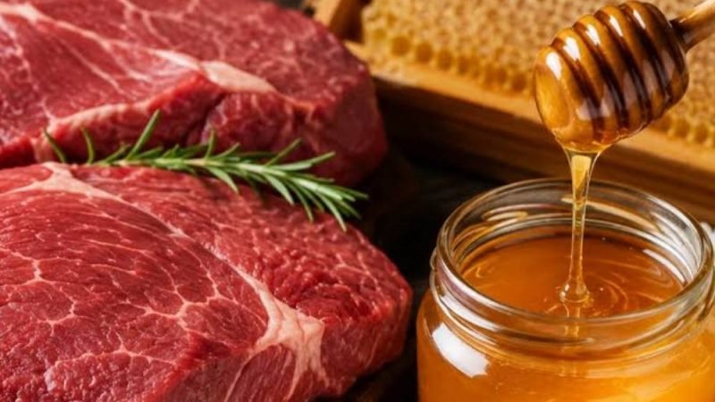 Veto europeu ameaça exportações de carne e mel brasileiros após avanço no mercado internacional