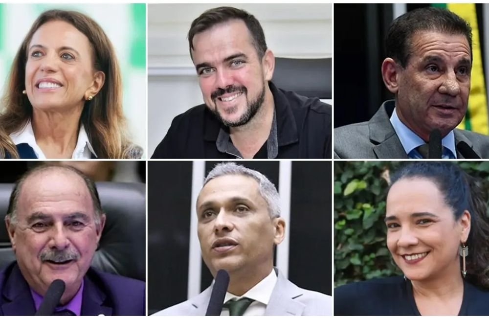De R$ 398 mil a R$ 66,8 milhões: veja os bens declarados pelos candidatos ao Senado em Goiás
