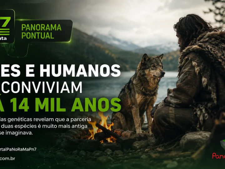 VÍDEO | Cães e humanos convivem há mais de 14 mil anos, revela estudo genético