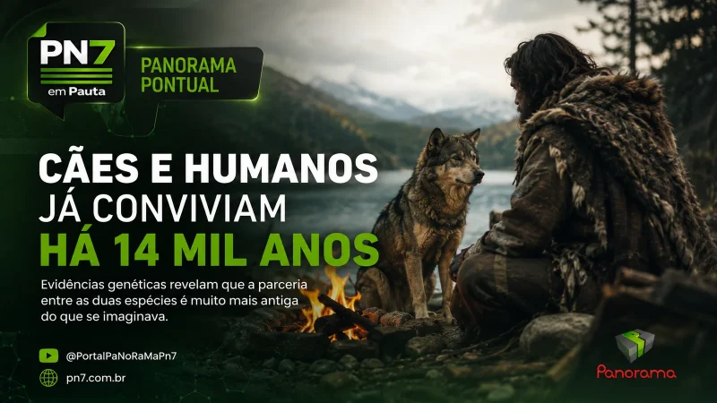 VÍDEO | Cães e humanos convivem há mais de 14 mil anos, revela estudo genético