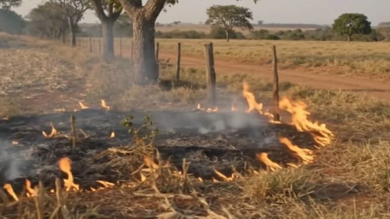 VÍDEO | Goiás registra alta de 40,6% nos focos de queimadas; Sudoeste chega a 57 dias sem chuva