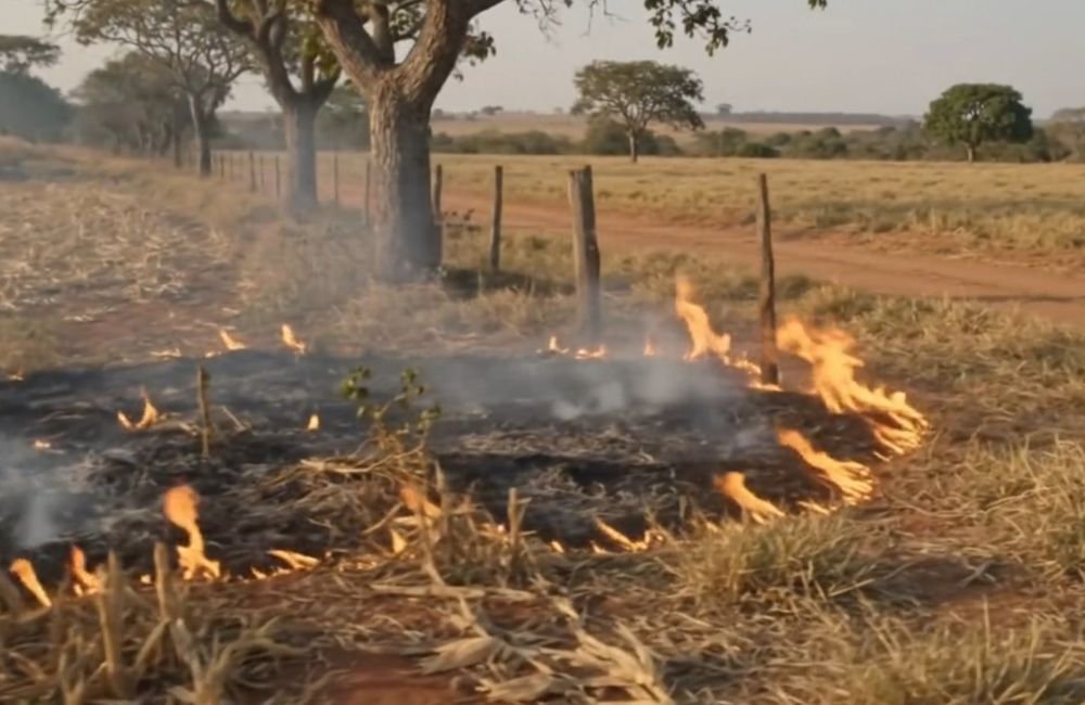 VÍDEO | Goiás registra alta de 40,6% nos focos de queimadas; Sudoeste chega a 57 dias sem chuva